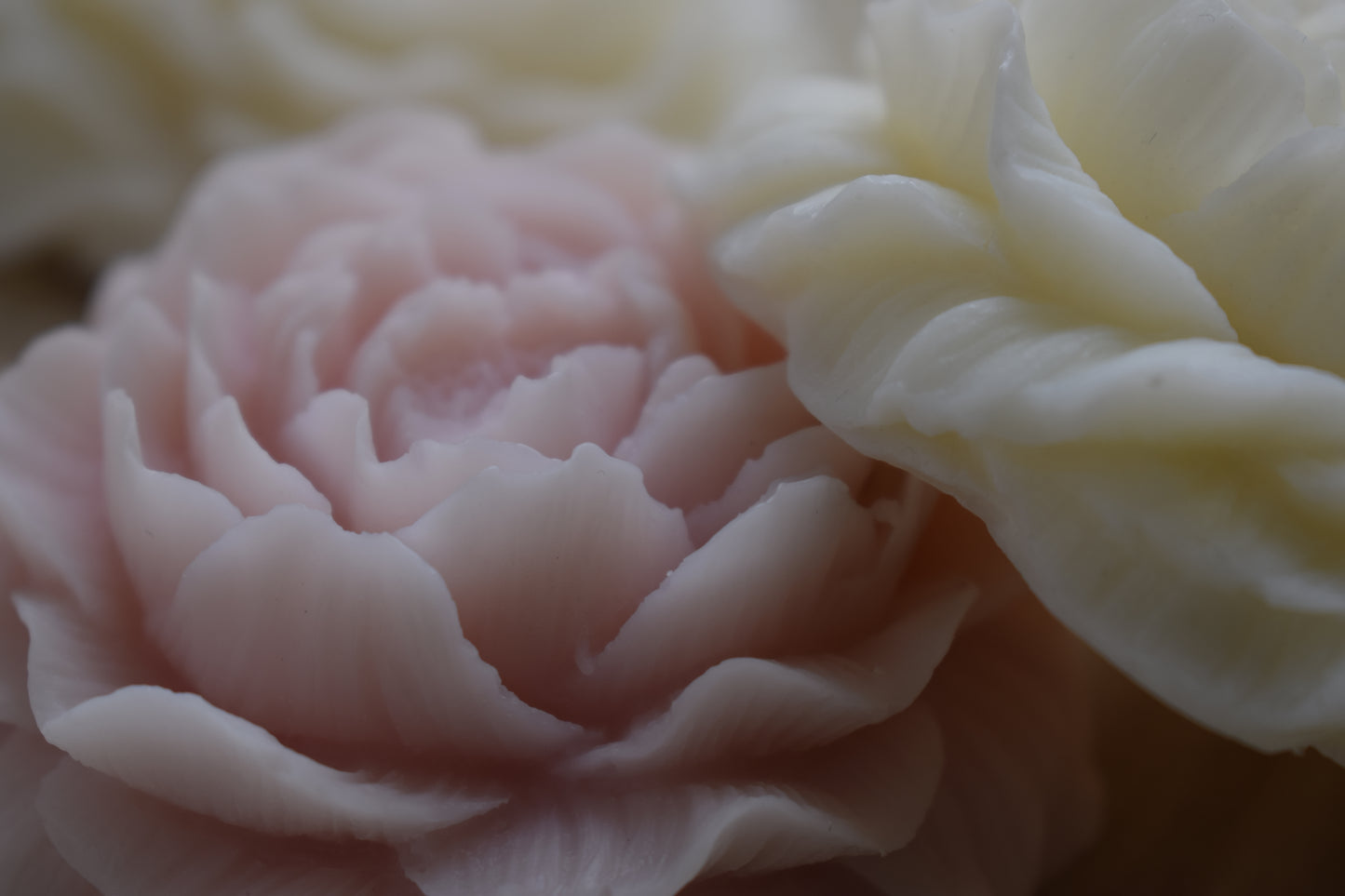 Peony